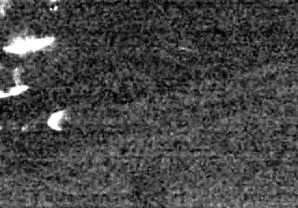 cam03-l.jpg